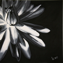 pam's lily