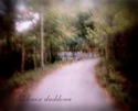 the walk