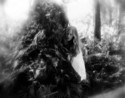louise daddona, fine art, forest, fairy, water,  - Nature Photography
