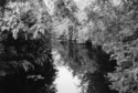 Water Path