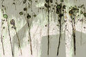 Louis Sasso - Untitled