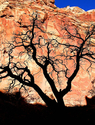 Canyon Shadow