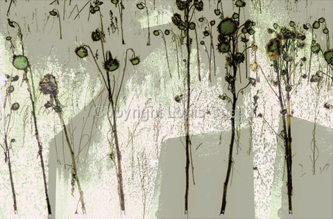 Photography-Abstract-Untitled