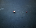 south carolina. 2007