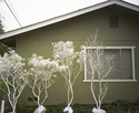 chico. california. 2005