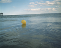 coney island. ny. 2007.