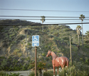malibu. california. 2008.