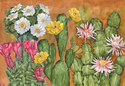 Cacti Garden 3