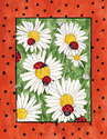 Ladies & Daisies