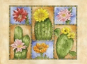 Cacti Sampler