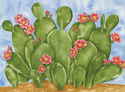 Beavertail Cactus