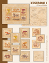 Mushrooms-concepts1