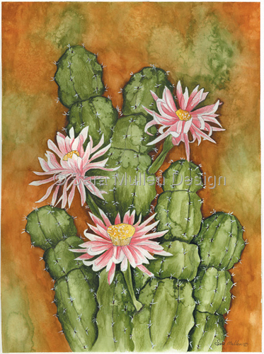 Cereus - Cactus