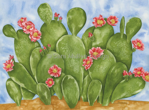 Beavertail Cactus