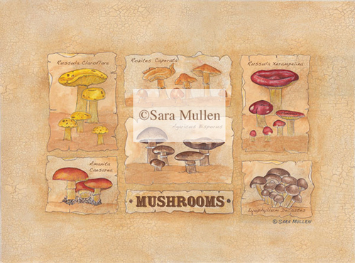 Mushroom Sampler