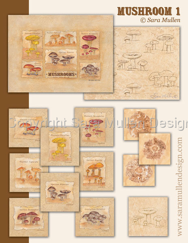 Mushrooms-concepts1