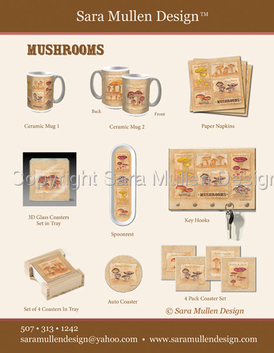 Mushrooms-concepts