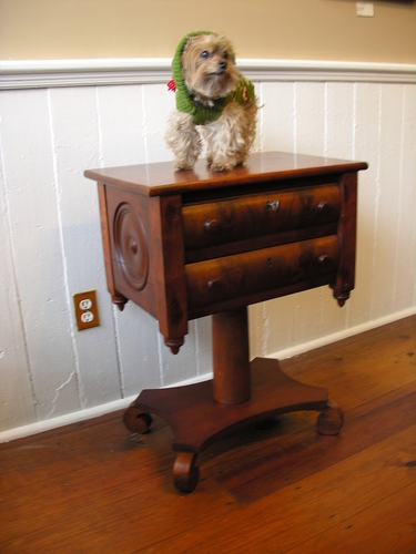 Stands
