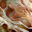 Swirling%20Sandstone%20I (thumbnail)