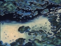 Moss%20on%20Pond%20Surface (thumbnail)
