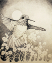 Moon Lit night Hummingbird Moon%20Lit%20night%20Hummingbird (thumbnail)
