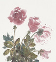 Laura Valoppi - Four pink roses