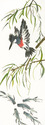 Kingfisher and minnows