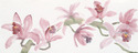 Orchid 3