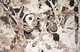 Drawing-Beauty of Broken Silence