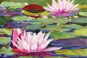 Lorraine Watry - Cotton Candy Pinks