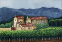 Luberon%20Vineyard (thumbnail)