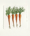 4%20carrots (thumbnail)