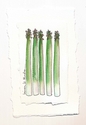 5%20asparagus (thumbnail)