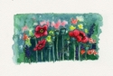 Poppies-II (thumbnail)