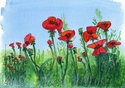Poppies-I (thumbnail)