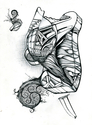 Untitled (thumbnail)