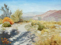 Desert Trail