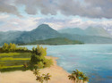 Princeville View