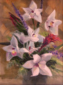 Orchids