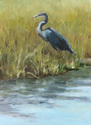Blue Heron