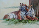 Tigers