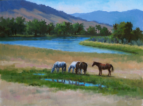 Good Montana Grass