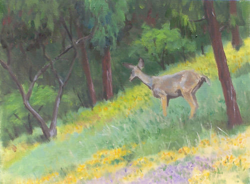 Spring Visitor