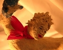 Photography--Color-FigurativeOne kiss