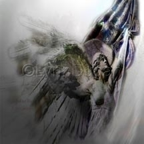 Photography-Architecture-Of Wind and Wings