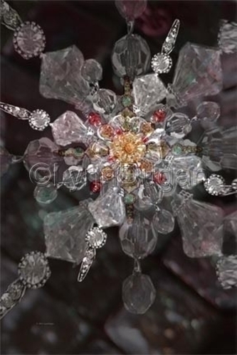 Digital Art-Botanical-Rose Snow