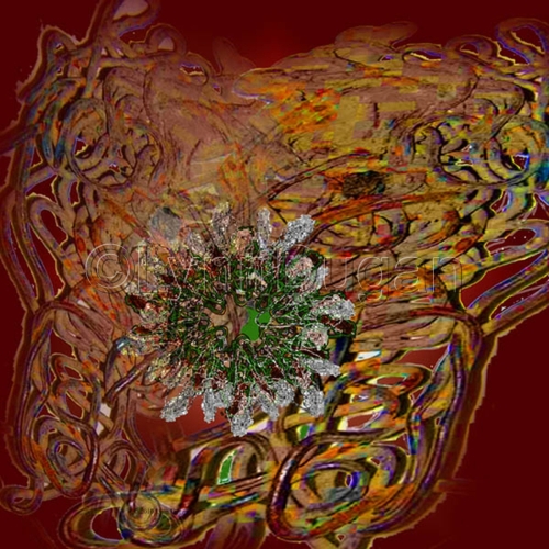 Digital Art-Somewhere's Beauty