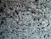 Shades%20of%20Grey (thumbnail)
