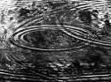 Image%202 (thumbnail)
