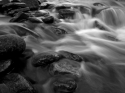 Image%204 (thumbnail)
